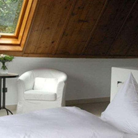 Landhotel Alte Muehle Ehningen Cameră foto